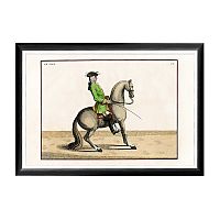 арт-постер «верховая езда, урок № 9» в Прокопьевске