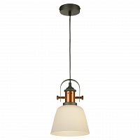 подвесной светильник lussole loft grlsp-9846 в Прокопьевске