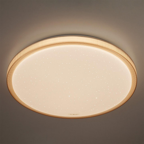 потолочный светодиодный светильник eurosvet sandy 40015/1 led кофе в Прокопьевске