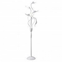 торшер lightstar cigno collo wt 751766 в Прокопьевске
