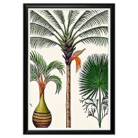 арт-постер словно веер в Прокопьевске