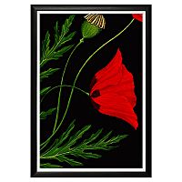 арт-постер мак снотворный в Прокопьевске