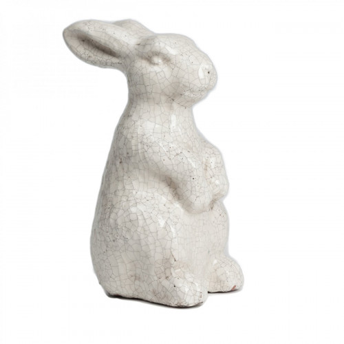 кролик декоративный rabbit в Прокопьевске