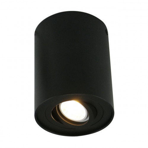 потолочный светильник arte lamp a5644pl-1bk в Прокопьевске