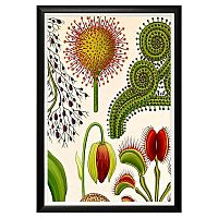 арт-постер «экзотика мира» в Прокопьевске