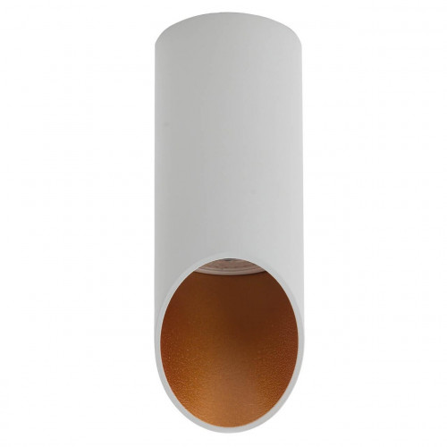 потолочный светильник denkirs dk2011-wh в Прокопьевске