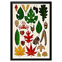 арт-постер «гербарий. осень» в Прокопьевске