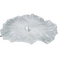 блюдо a lotus leaf белое в Прокопьевске