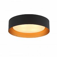 потолочный светильник st luce chio sl392.422.04 в Прокопьевске