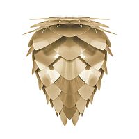 плафон conia brushed brass в Прокопьевске