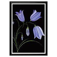 арт-постер кампанула в Прокопьевске