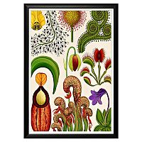 арт-постер «они восхитительны» в Прокопьевске