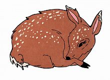 ковер шерстяной олененок the deer в Прокопьевске